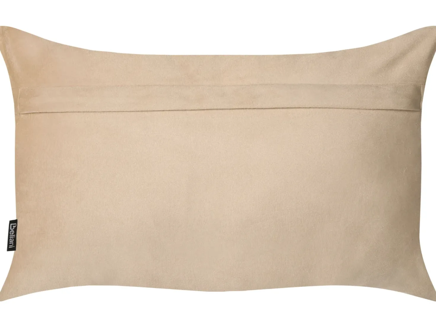 Set di 2 cuscini BELLE Velluto 30 x 50 cm Beige Tinta unita