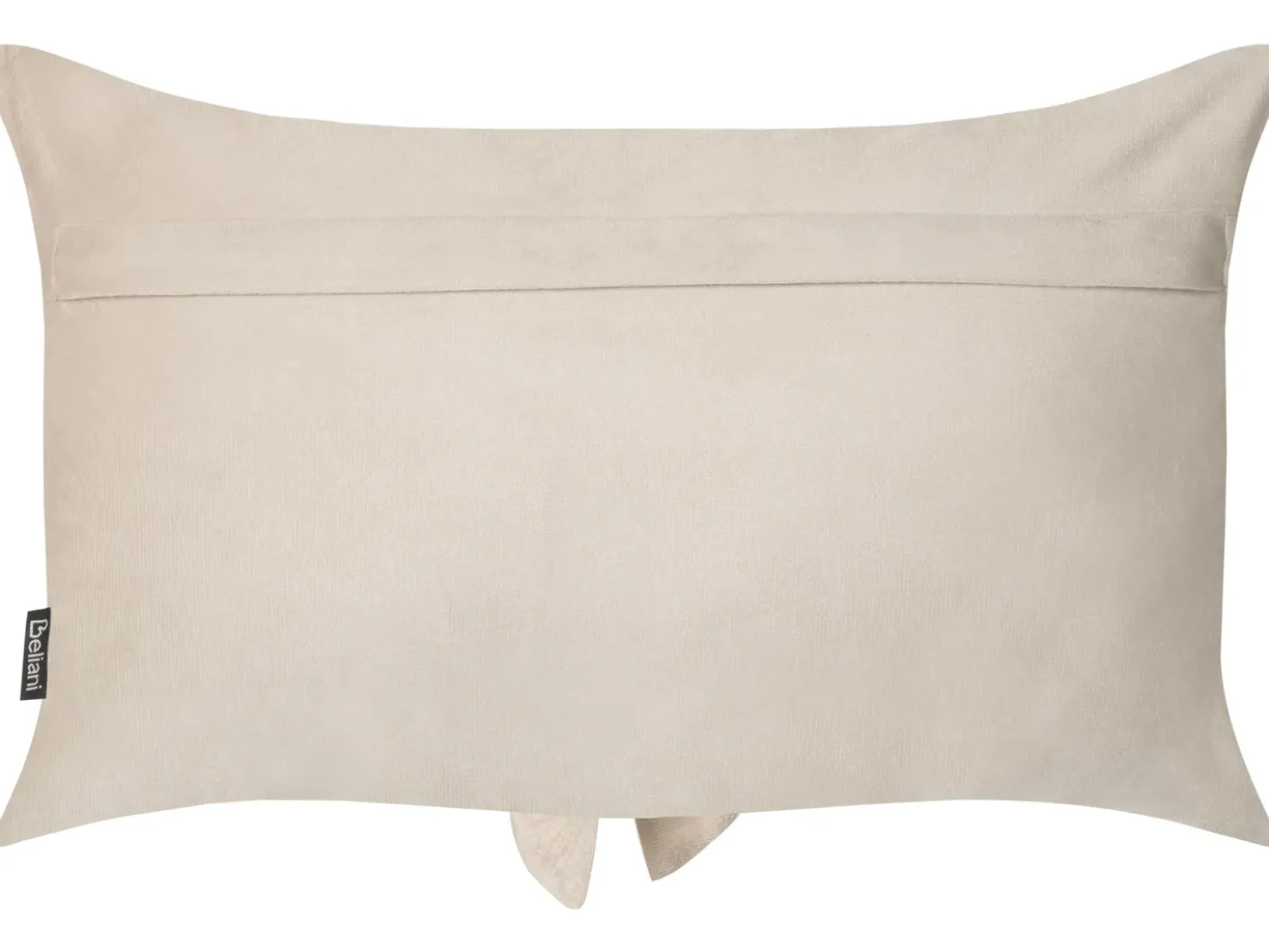 Set di 2 cuscini BELLE Velluto 30 x 50 cm Beige chiaro Tinta unita