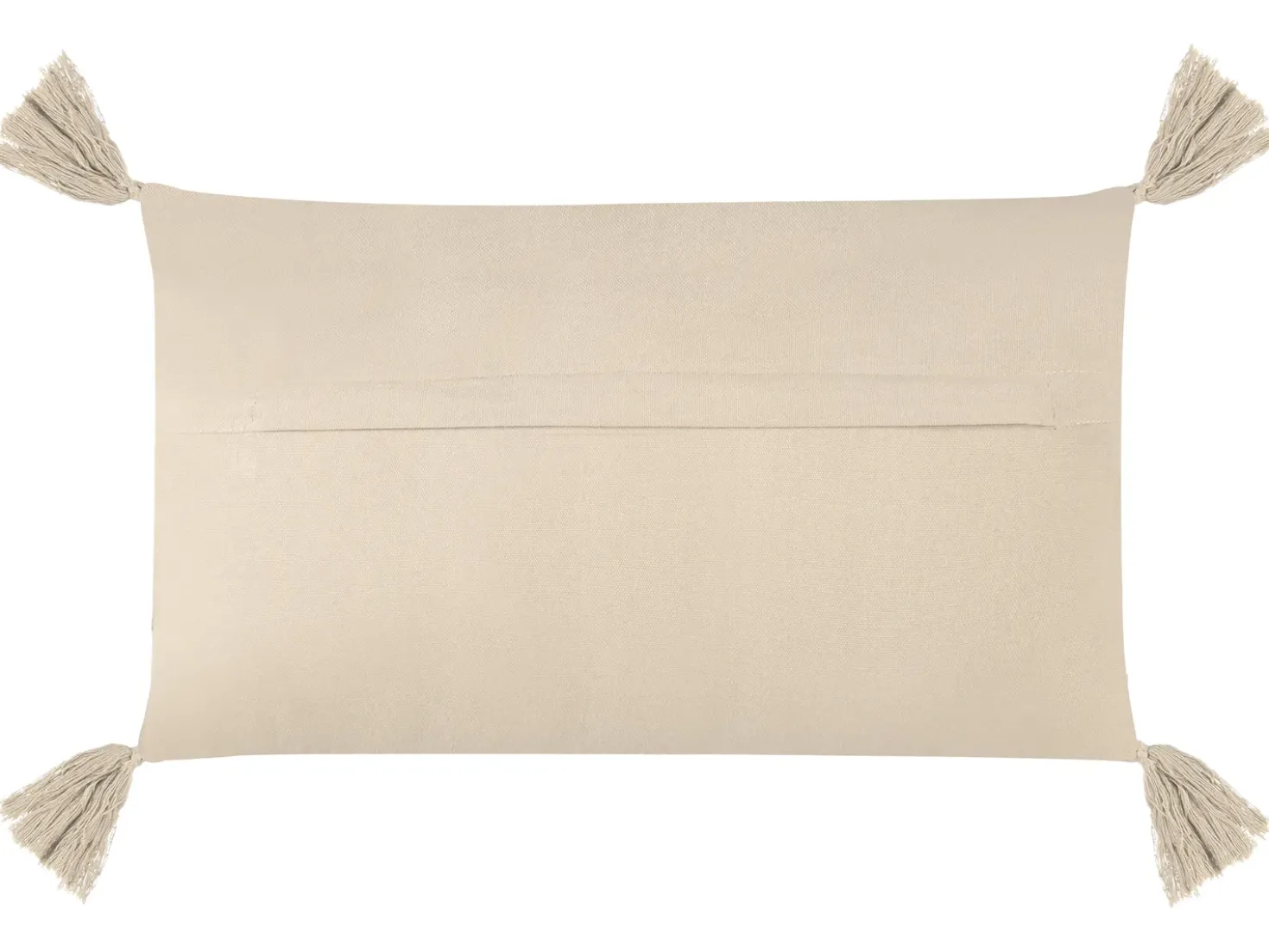 Set di 2 cuscini CAESIA Cotone 30 x 50 cm Beige chiaro Tinta unita