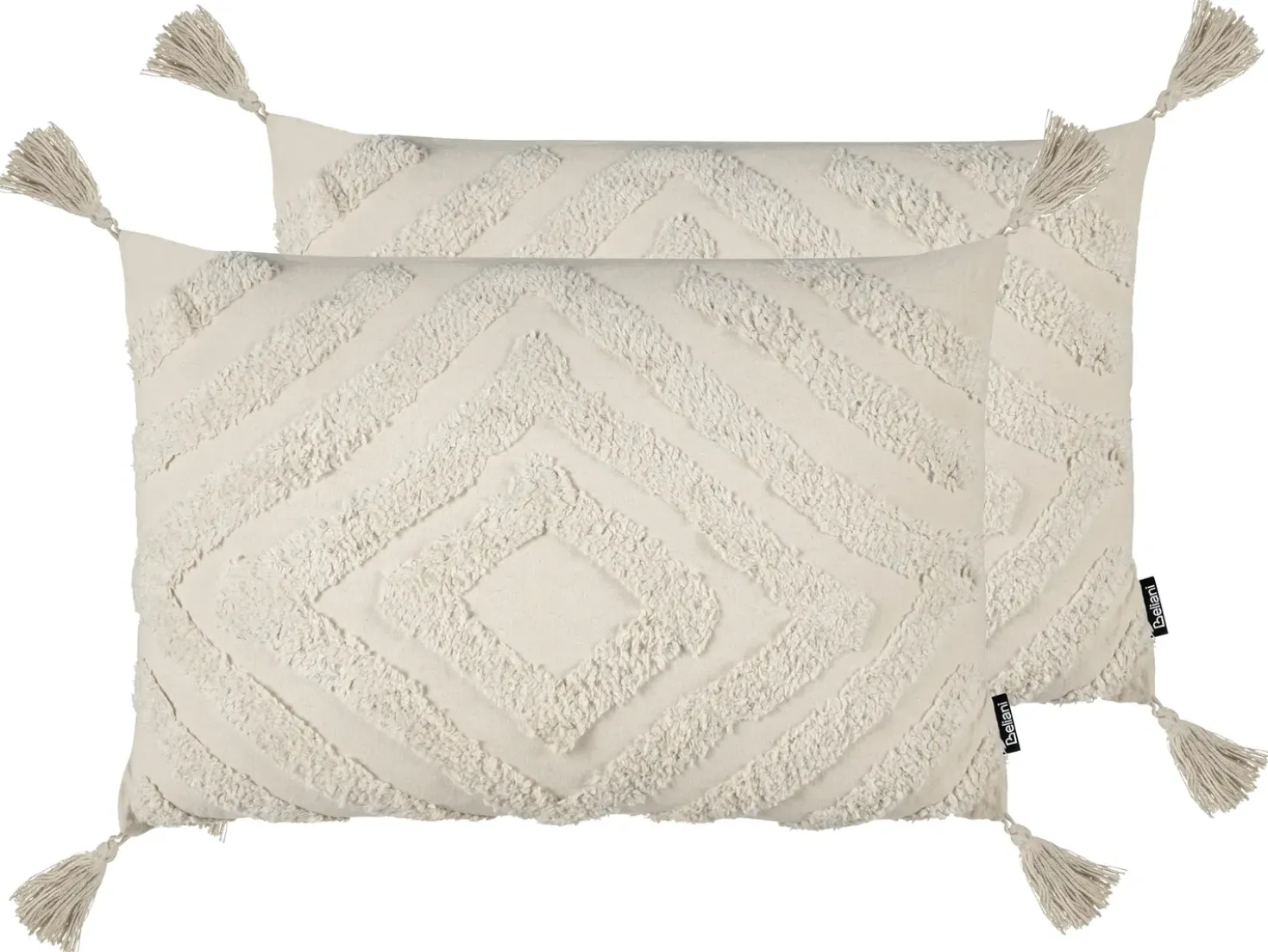Set di 2 cuscini CRATAEGUS Cotone 40 x 60 cm Beige chiaro Trama geometrica
