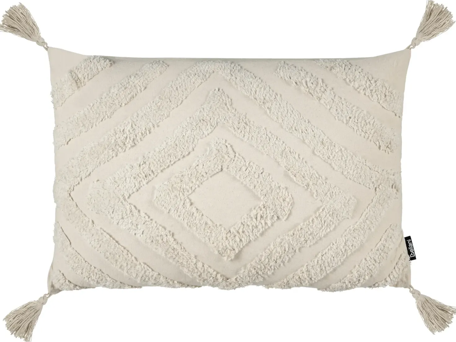 Set di 2 cuscini CRATAEGUS Cotone 40 x 60 cm Beige chiaro Trama geometrica
