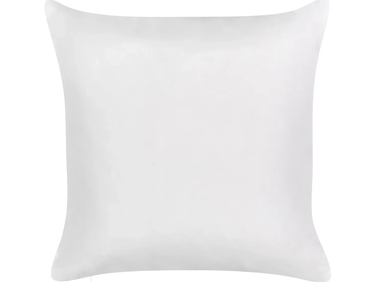 Set di 2 cuscini da esterno TORBORA Trama di piante 45 x 45 cm Bianco Blu