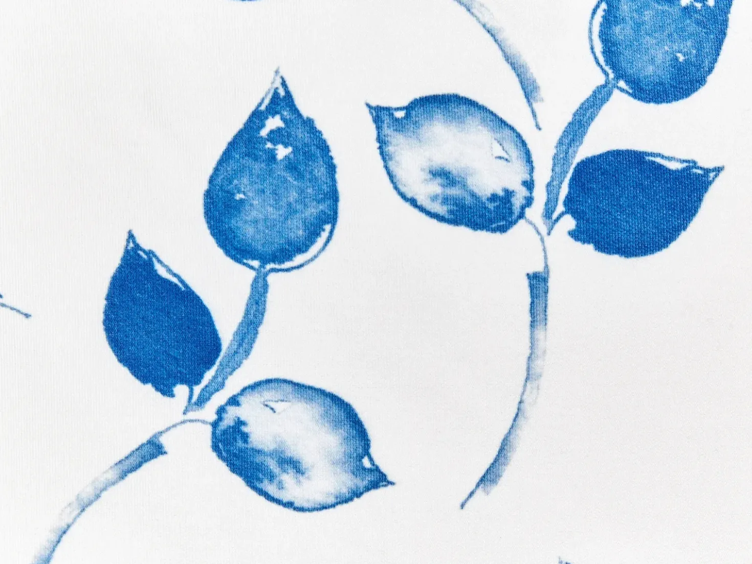 Set di 2 cuscini da esterno TORBORA Trama di piante 40 x 60 cm Bianco Blu