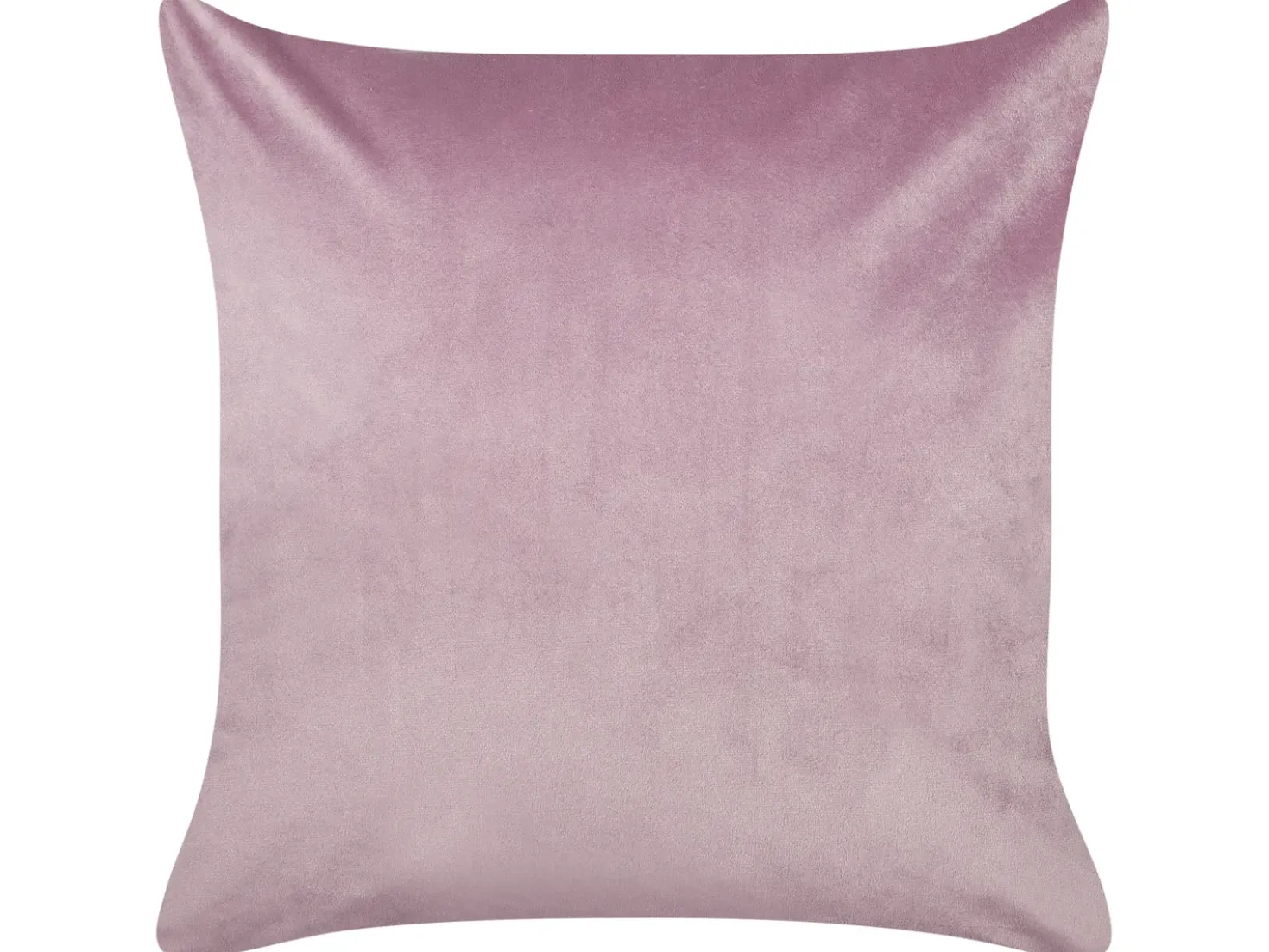 Set di 2 cuscini ECHINACEA Velluto 45 x 45 cm Viola