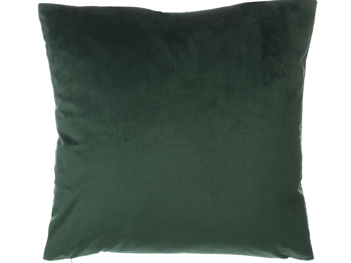Set di 2 cuscini FREESIA Velluto 45 x 45 cm Verde scuro Trama di piante