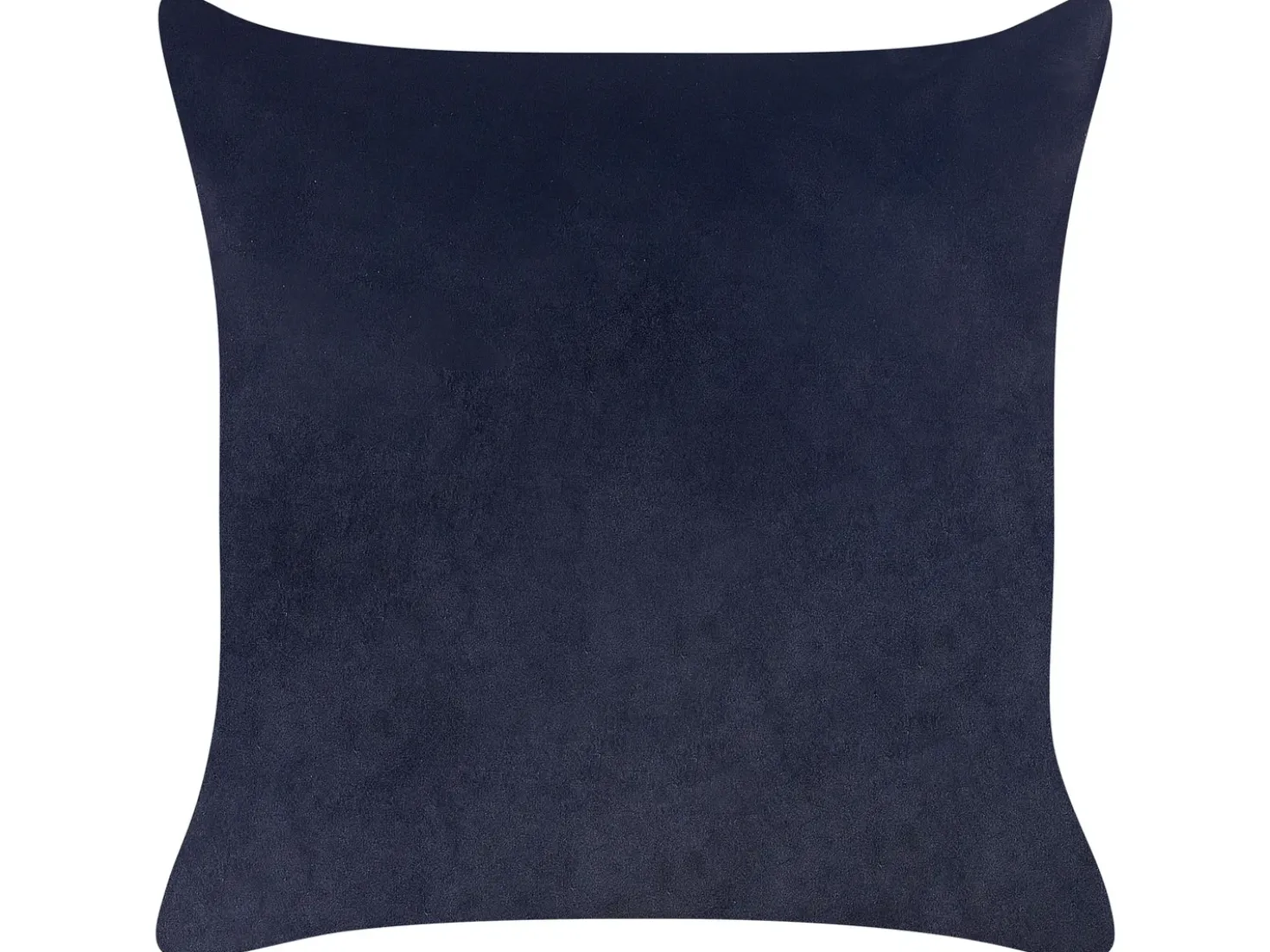 Set di 2 cuscini GOLDENROD Velluto 45 x 45 cm Nero Trama di piante