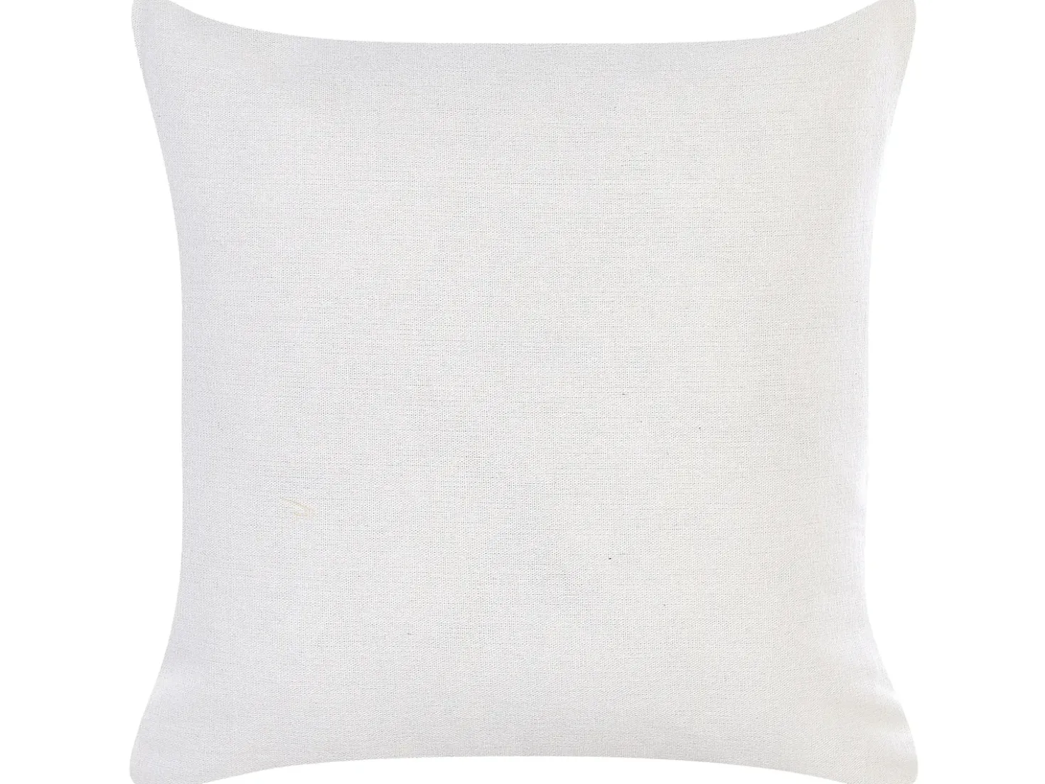 Set di 2 cuscini GOLDENROD Velluto 45 x 45 cm Bianco Trama di piante