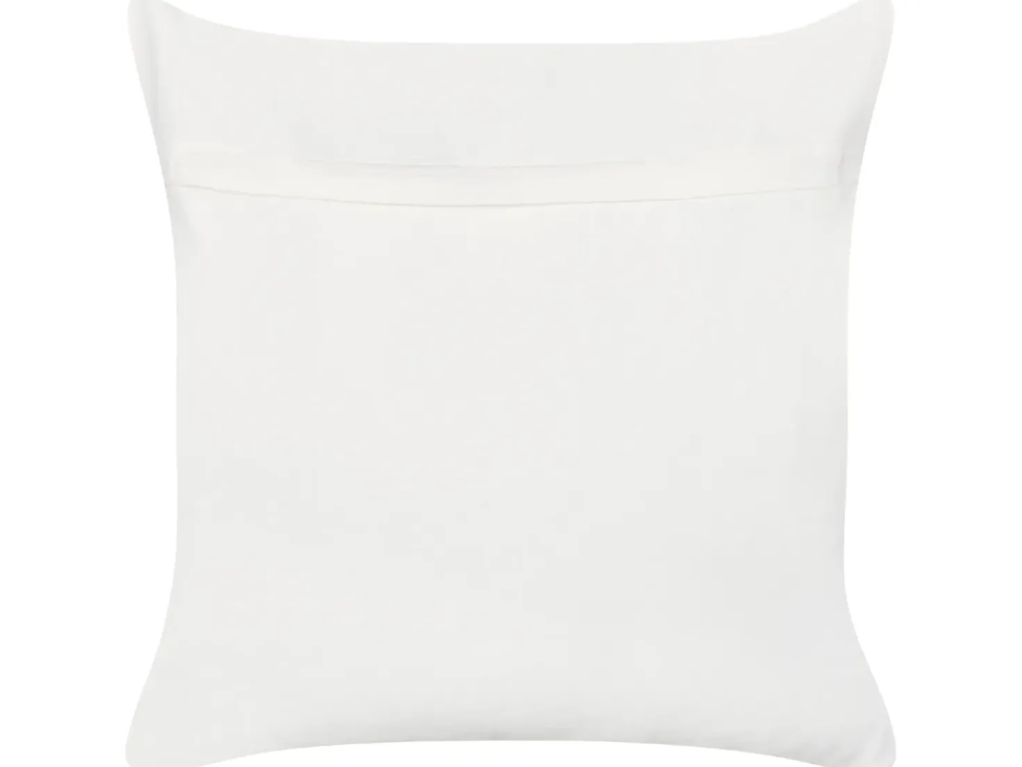 Set di 2 cuscini JATROPHA Cotone 45 x 45 cm Azzurro Trama floreale
