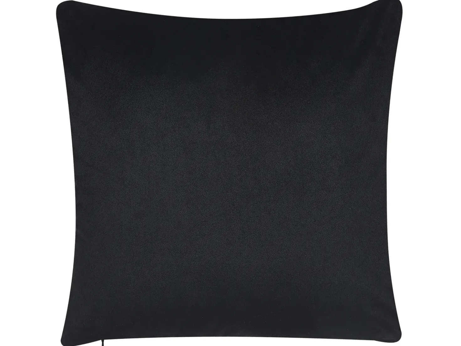 Set di 2 cuscini LAGURUS Velluto 45 x 45 cm Multicolore Trama di piante