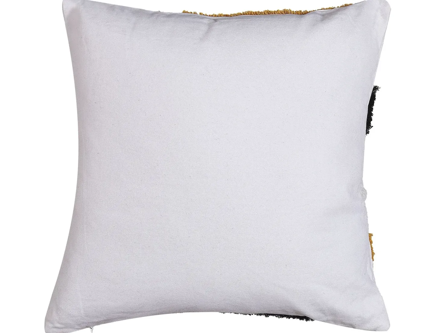 Set di 2 cuscini MONARDA 45 x 45 cm Multicolore Trama astratta