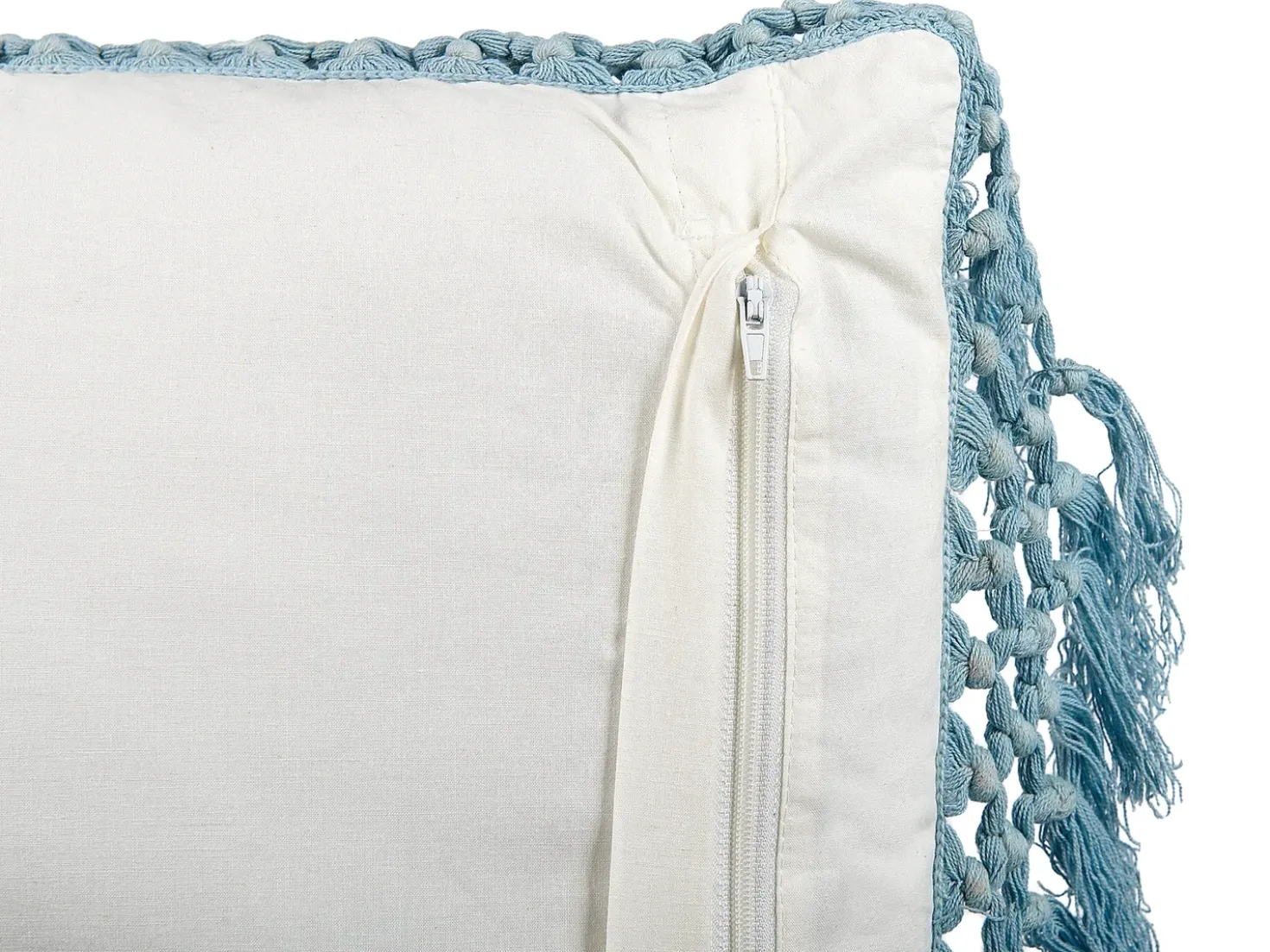 Set di 2 cuscini PALLIDA Cotone 45 x 45 cm Blu Trama floreale