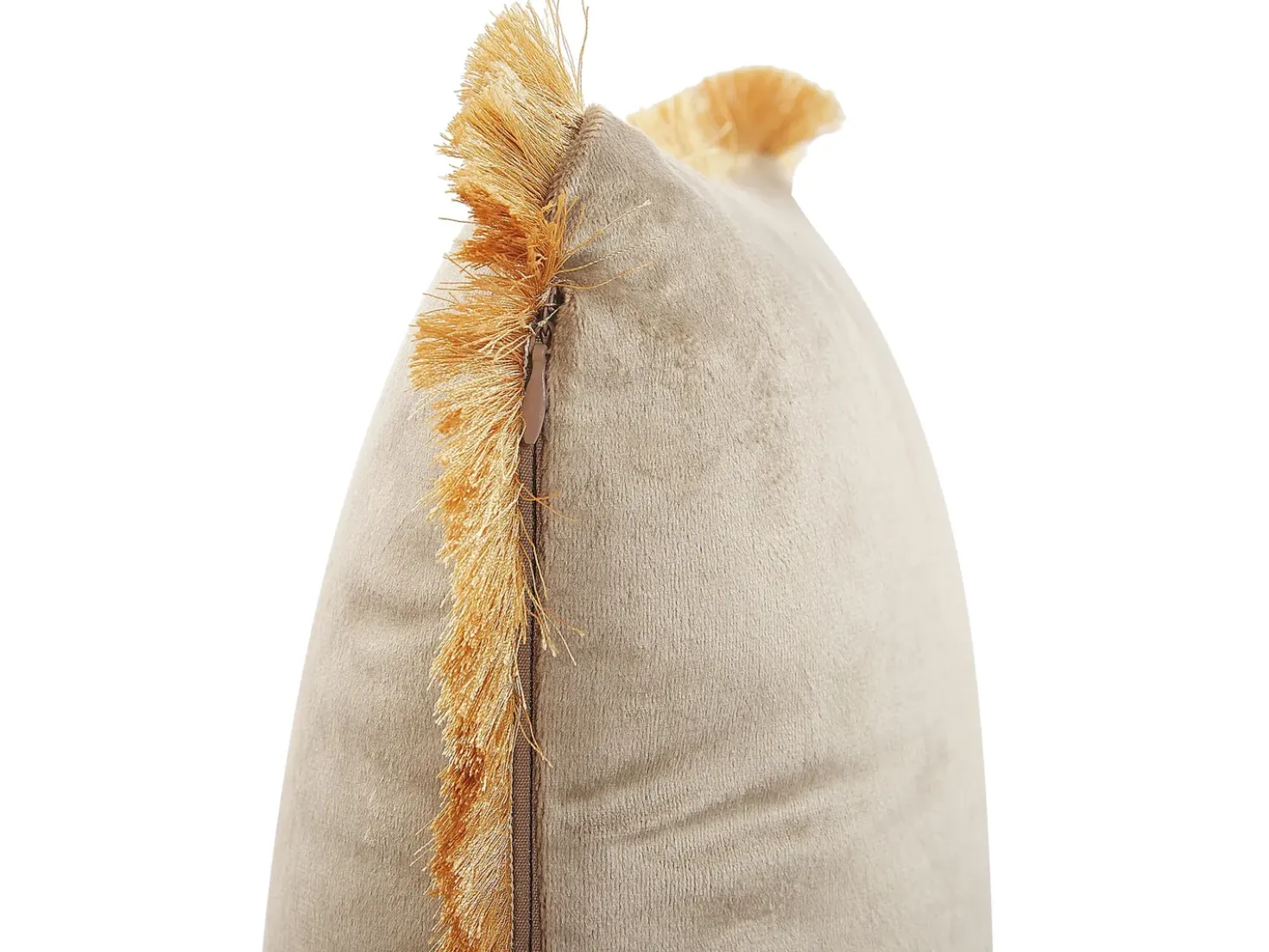 Set di 2 cuscini POTHOS Velluto 30 x 50 cm Beige Tinta unita