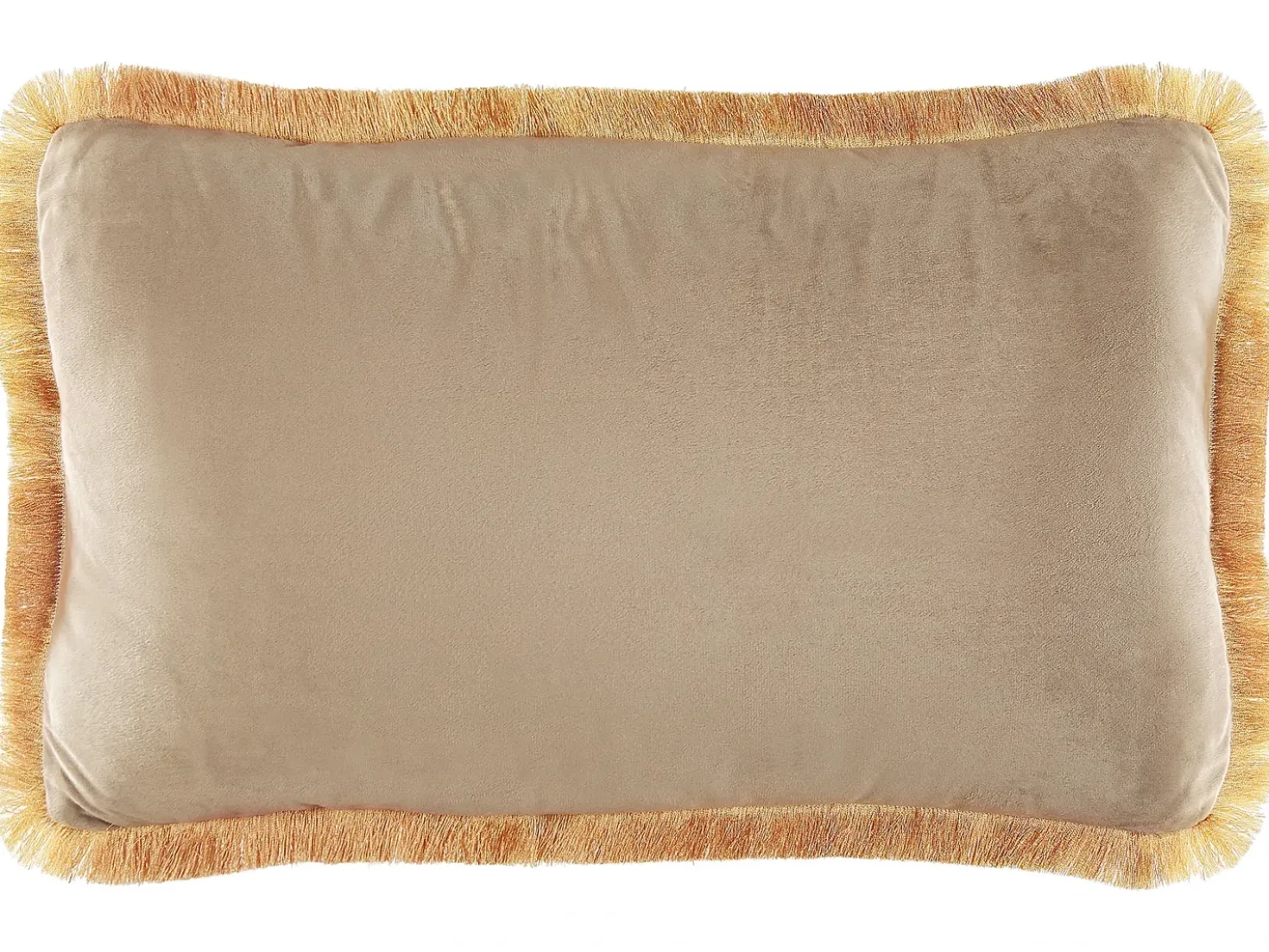 Set di 2 cuscini POTHOS Velluto 30 x 50 cm Beige Tinta unita