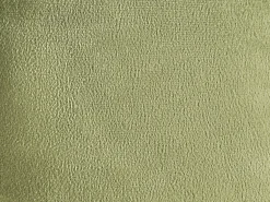 Set di 2 cuscini SALVIA Velluto 33 x 33 cm Verde oliva Tinta unita