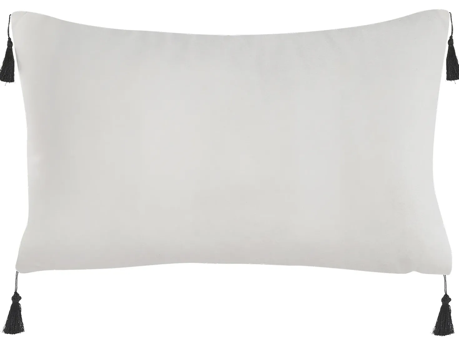 Set di 2 cuscini SCHEFFLERA Velluto 30 x 50 cm Bianco Trama geometrica