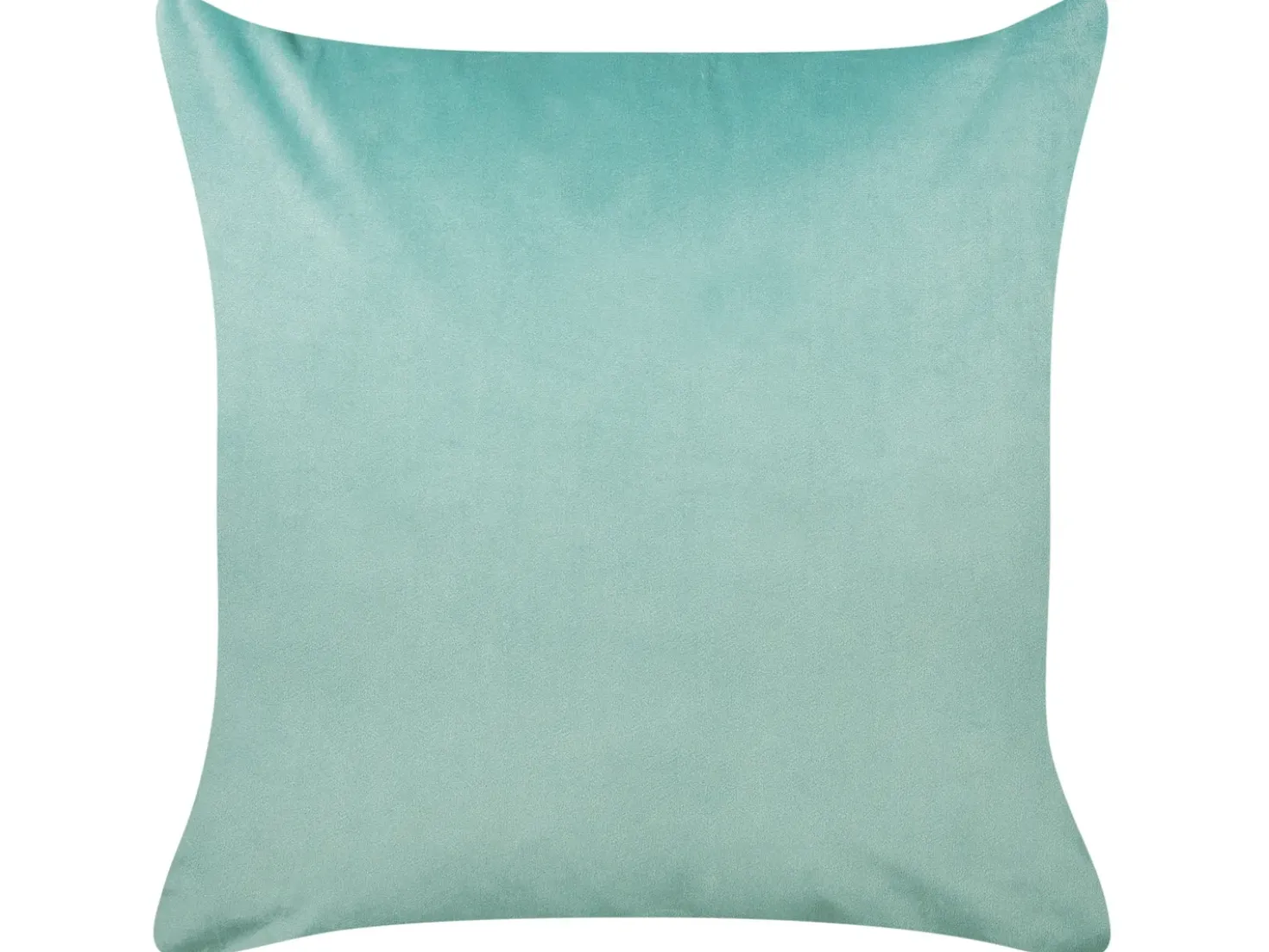Set di 2 cuscini SOLIDAGO Velluto 45 x 45 cm Verde