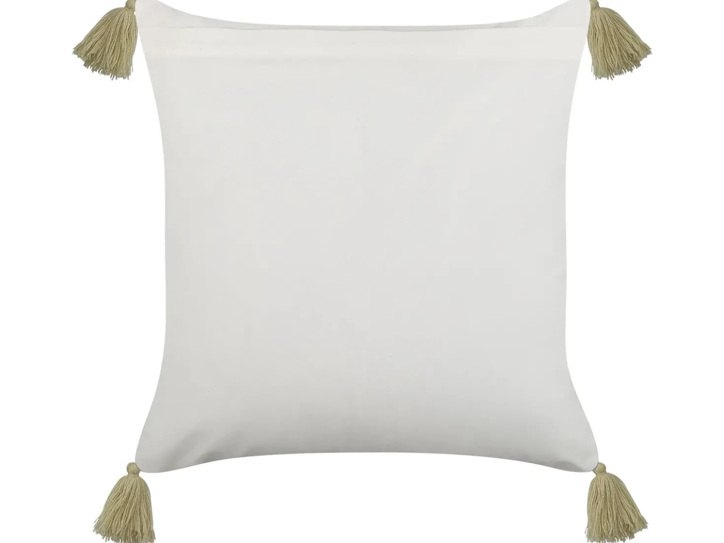 Set di 2 cuscini SYRINGA Cotone 45 x 45 cm Verde Trama geometrica