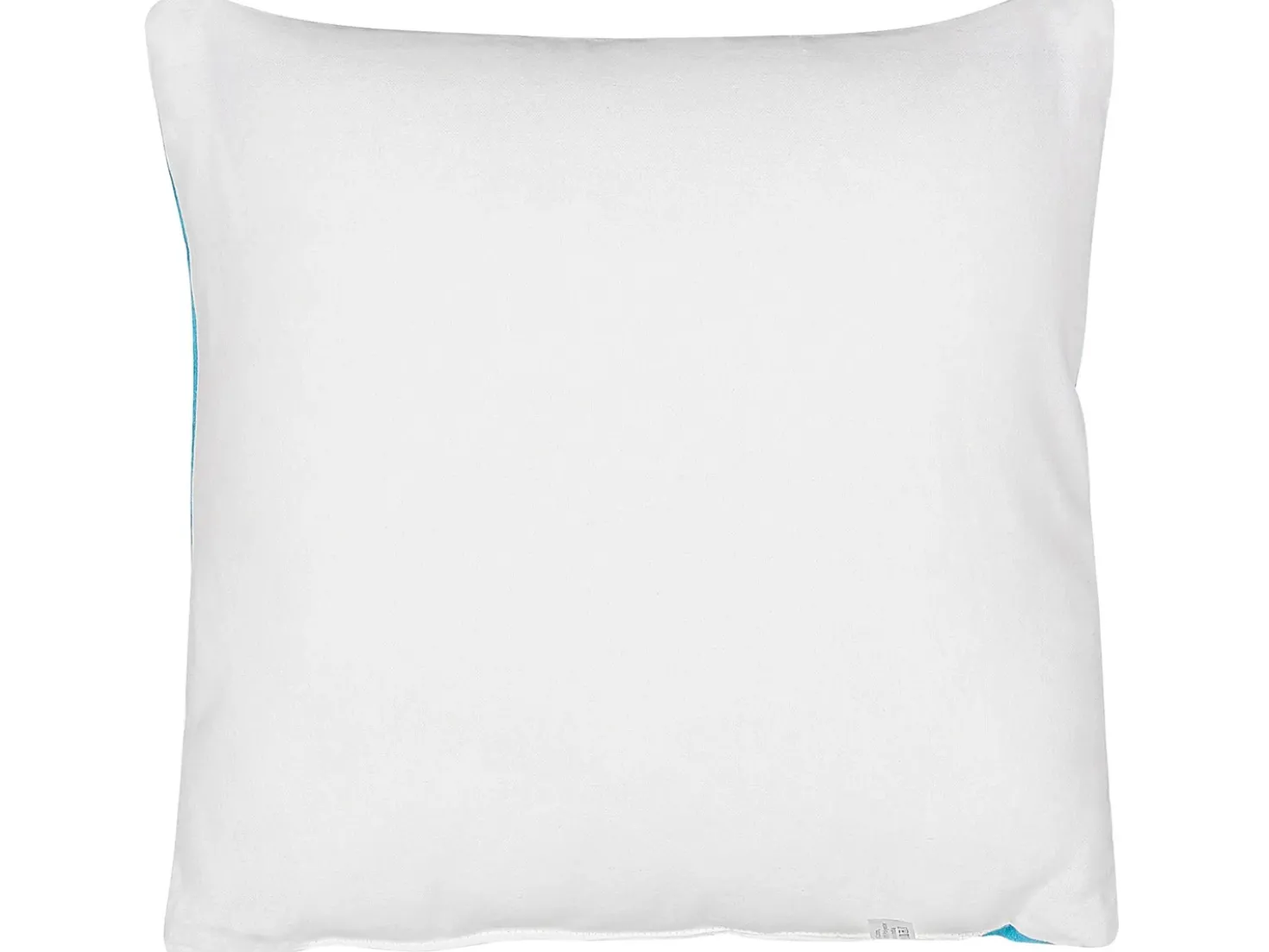 Set di 2 cuscini WARANASI Cotone 45 x 45 cm Blu