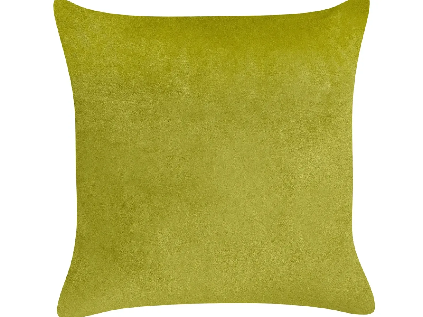 Set di 2 cuscini YUZURI Velluto 45 x 45 cm Verde chiaro Trama animale