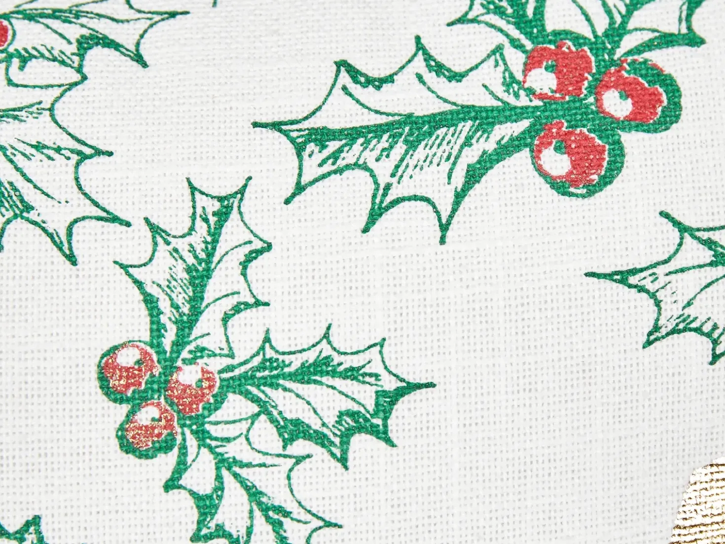 Set di 2 cuscini ZAMIA Cotone 45 x 45 cm Bianco Modello natalizio
