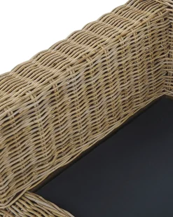 Set di 2 poltrone da giardino ARDEA Rattan Marrone chiaro