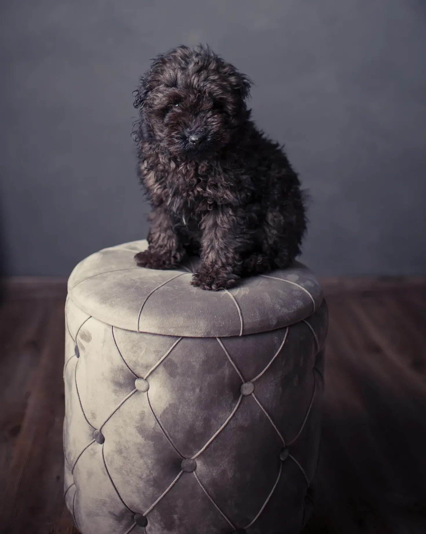 Set di 2 pouf contenitore PUEBLO Velluto Grigio