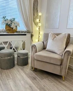 Set di 2 pouf contenitore CAMDENTON Velluto Grigio chiaro