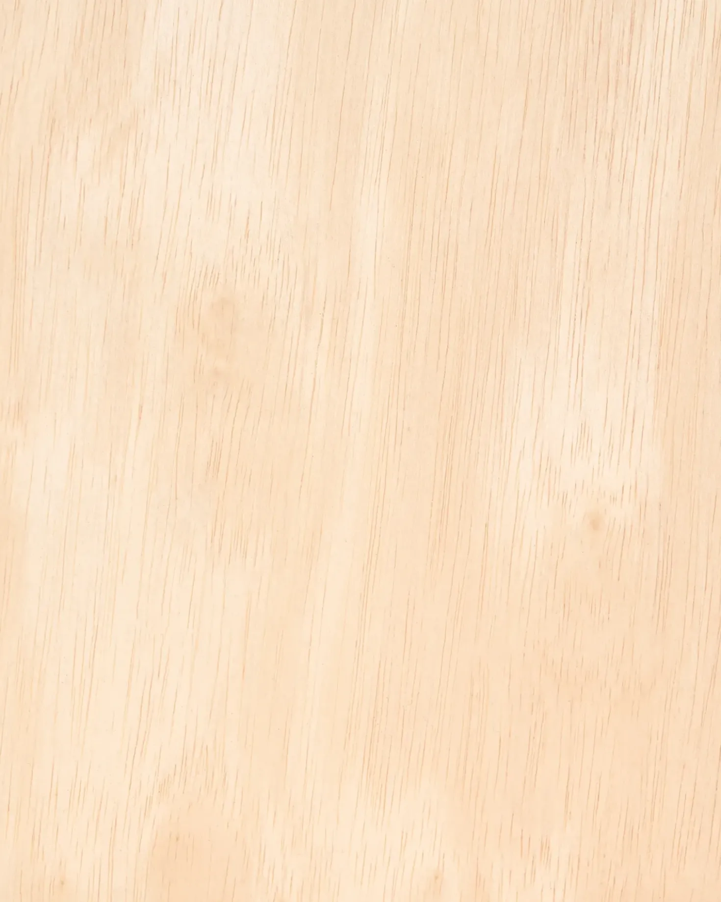 Set di 2 sedie alte CHARLESTON Legno Marrone chiaro/Beige chiaro