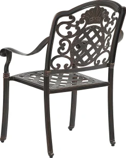Set di 4 sedie da giardino con cuscini SALENTO Metallo Marrone scuro