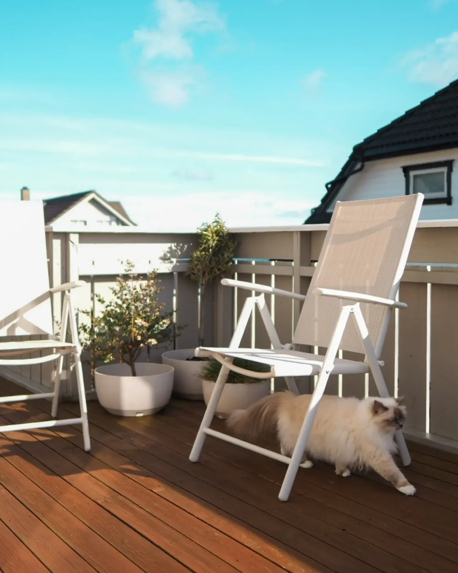 Set di 6 sedie da giardino CATANIA Metallo Beige