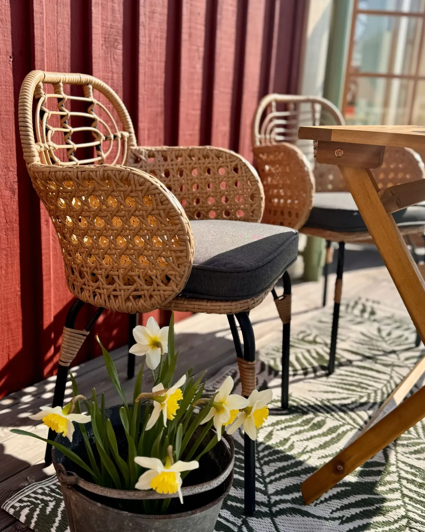 Set di 4 sedie da giardino con cuscini PRATELLO Rattan sintetico (PE) Naturale