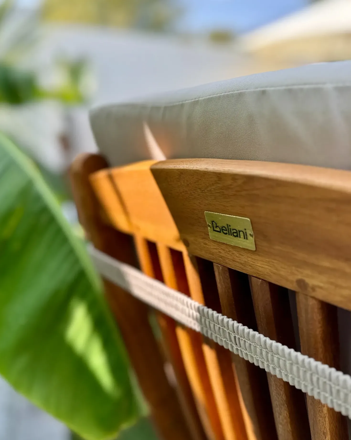 Set di 2 sedie da giardino con cuscini MAUI PREMIUM Legno d'acacia Tortora