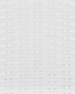 Set di 2 sedie da giardino FOSSANO Materiale sintetico Bianco