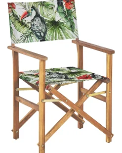 Set di 2 sedie da giardino CINE Legno d'acacia Verde