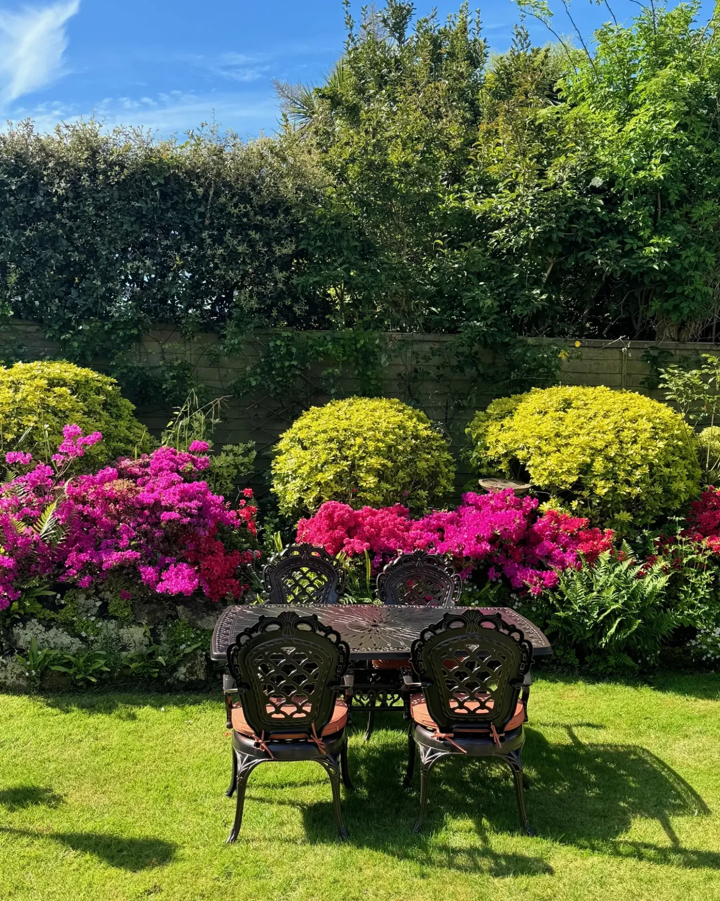 Set di 2 sedie da giardino con cuscini LIZZANO Metallo Marrone scuro