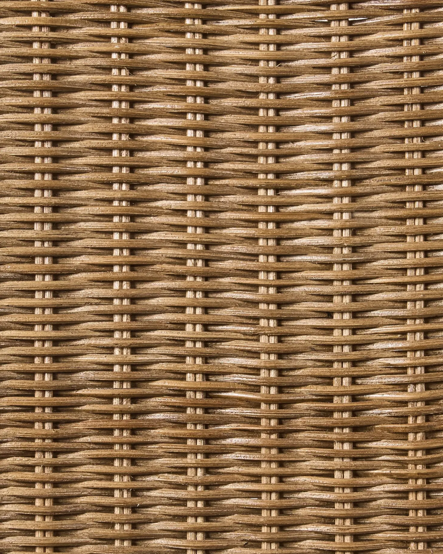 Set di 2 sedie da pranzo ANDES Rattan Marrone