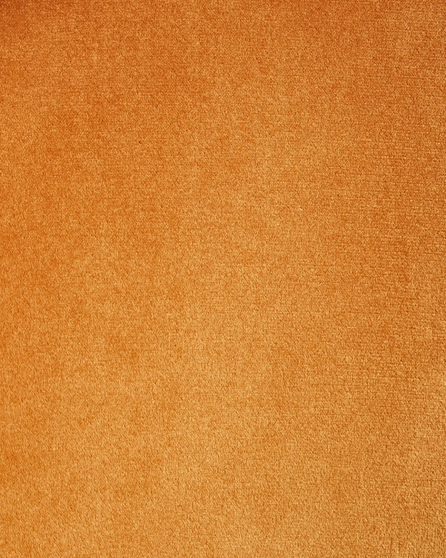 Set di 2 sedie da pranzo COVELO Velluto Arancione