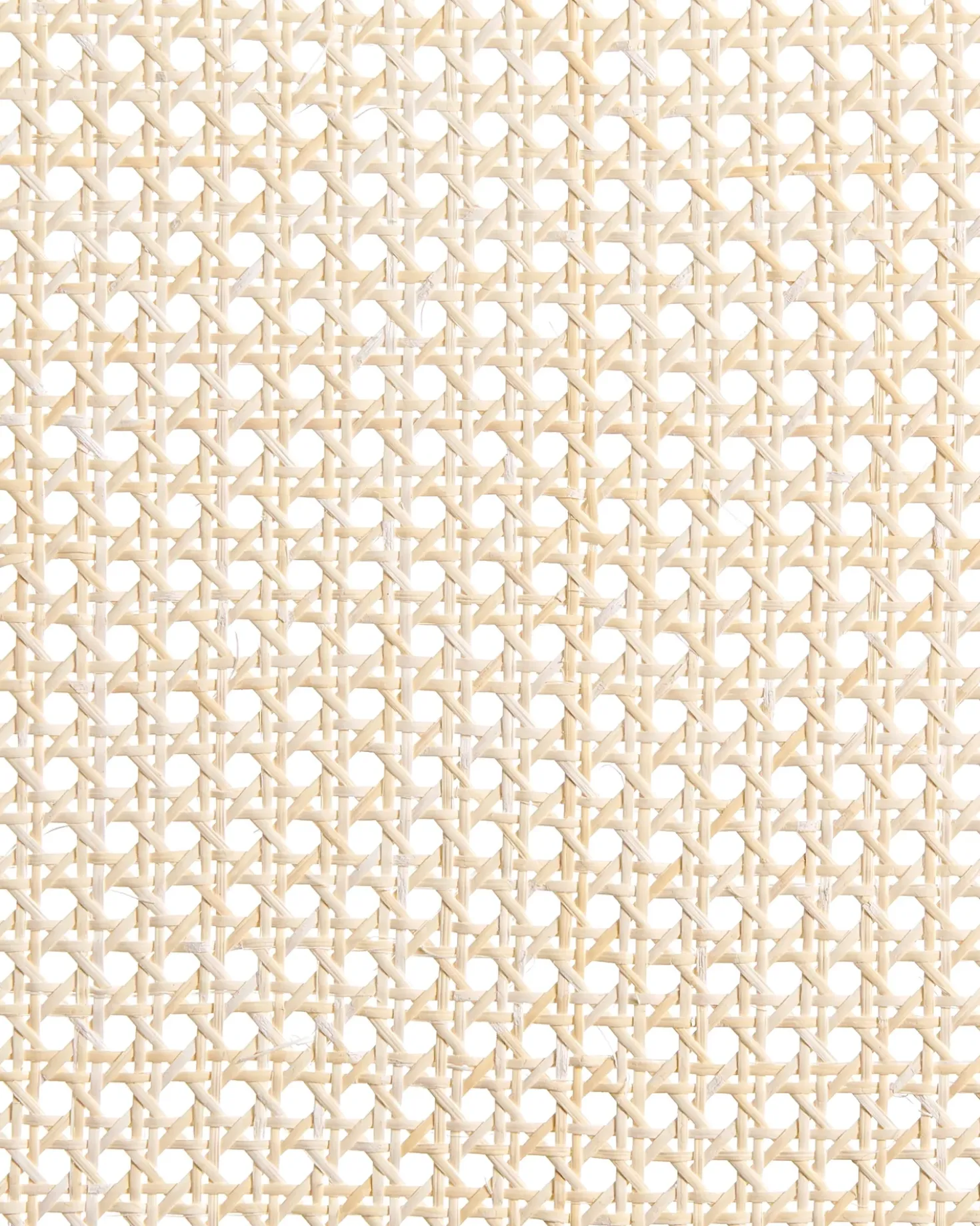 Set di 2 sedie da pranzo EDINA Tessuto Marrone/Beige