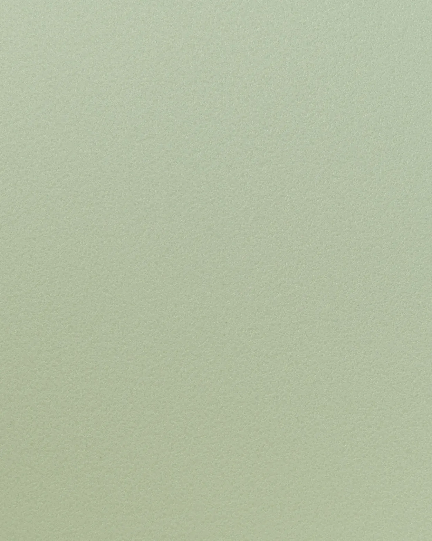 Set di 2 sedie da pranzo FONDA II Verde chiaro