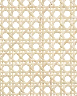 Set di 2 sedie da pranzo FALLON Legno Marrone/Beige chiaro