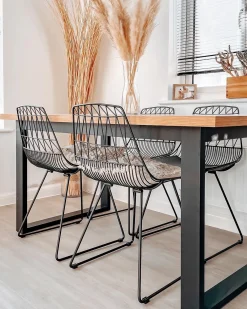 Set di 2 sedie da pranzo HARLAN Metallo Nero