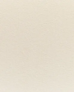 Set di 2 sedie da pranzo KENAI Tessuto Beige chiaro