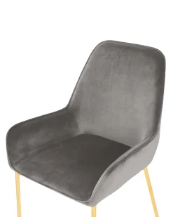 Set di 2 sedie da pranzo LOVERNA Velluto Grigio