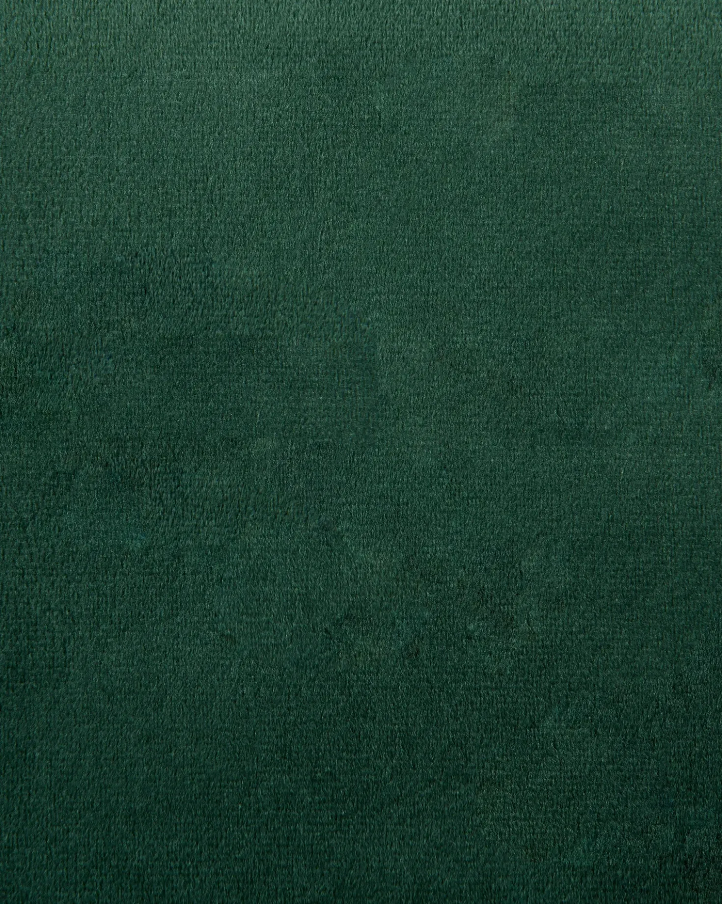 Set di 2 sedie da pranzo LOVERNA Velluto Verde