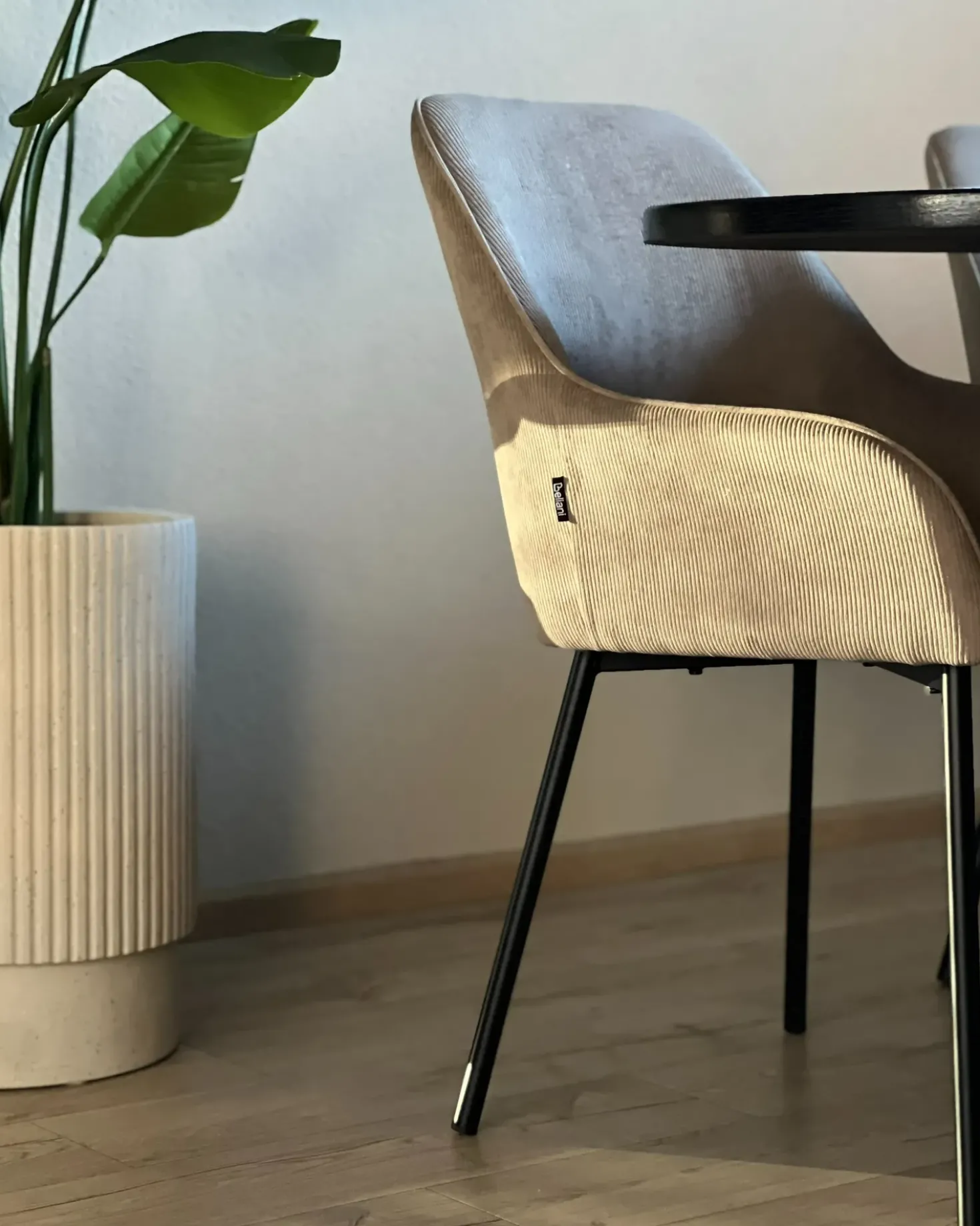 Set di 2 sedie da pranzo LOVERNA Velluto a coste Beige