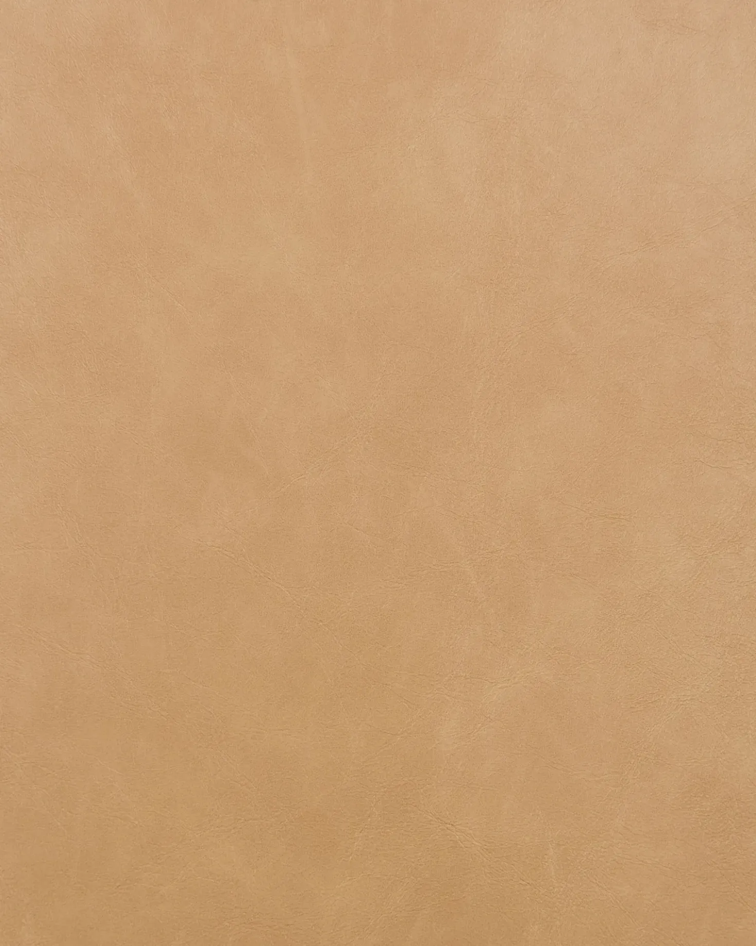 Set di 2 sedie da pranzo LUANA Pelle sintetica Beige sabbia