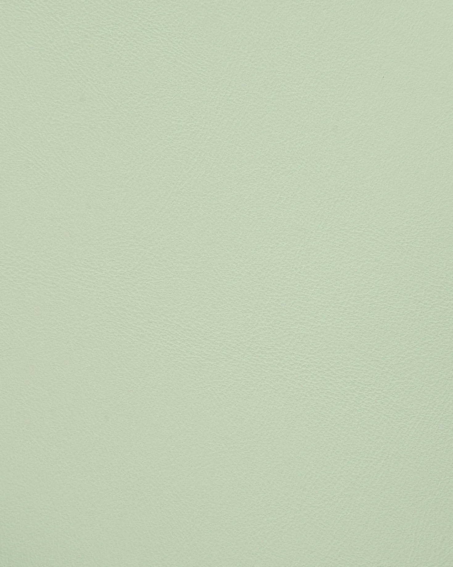 Set di 4 sedie da pranzo MORILL Verde chiaro
