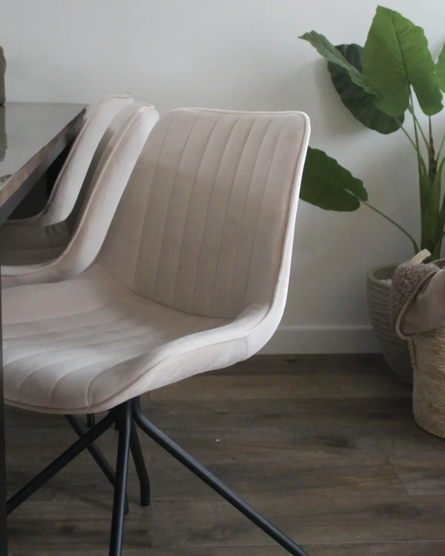 Set di 2 sedie da pranzo NAVASOTA Velluto Beige
