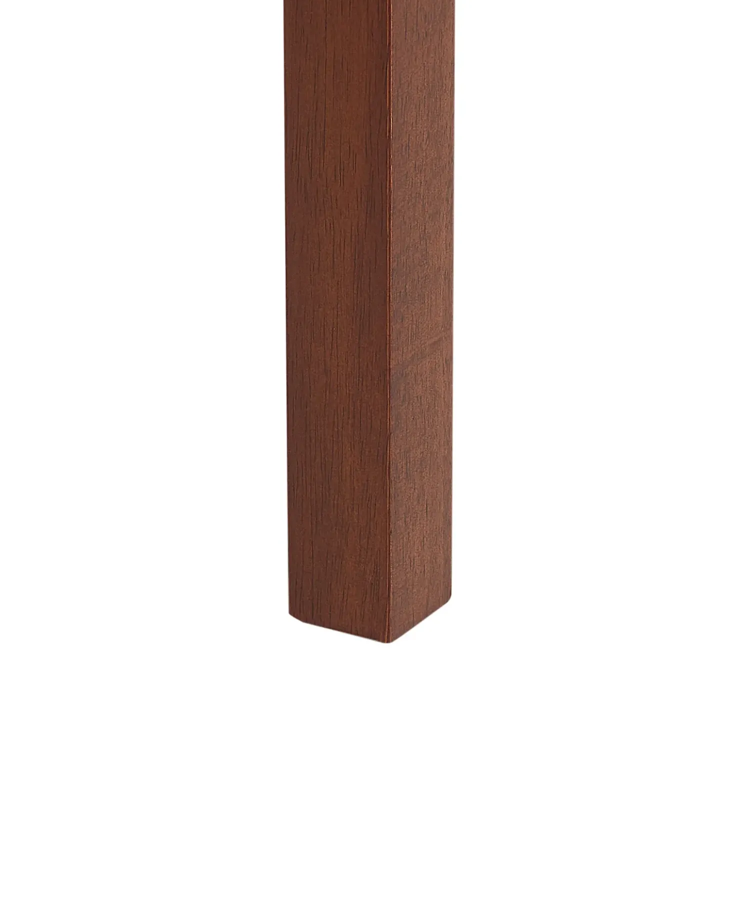 Set di 2 sedie da pranzo ORTLEY Legno Marrone scuro/Tortora