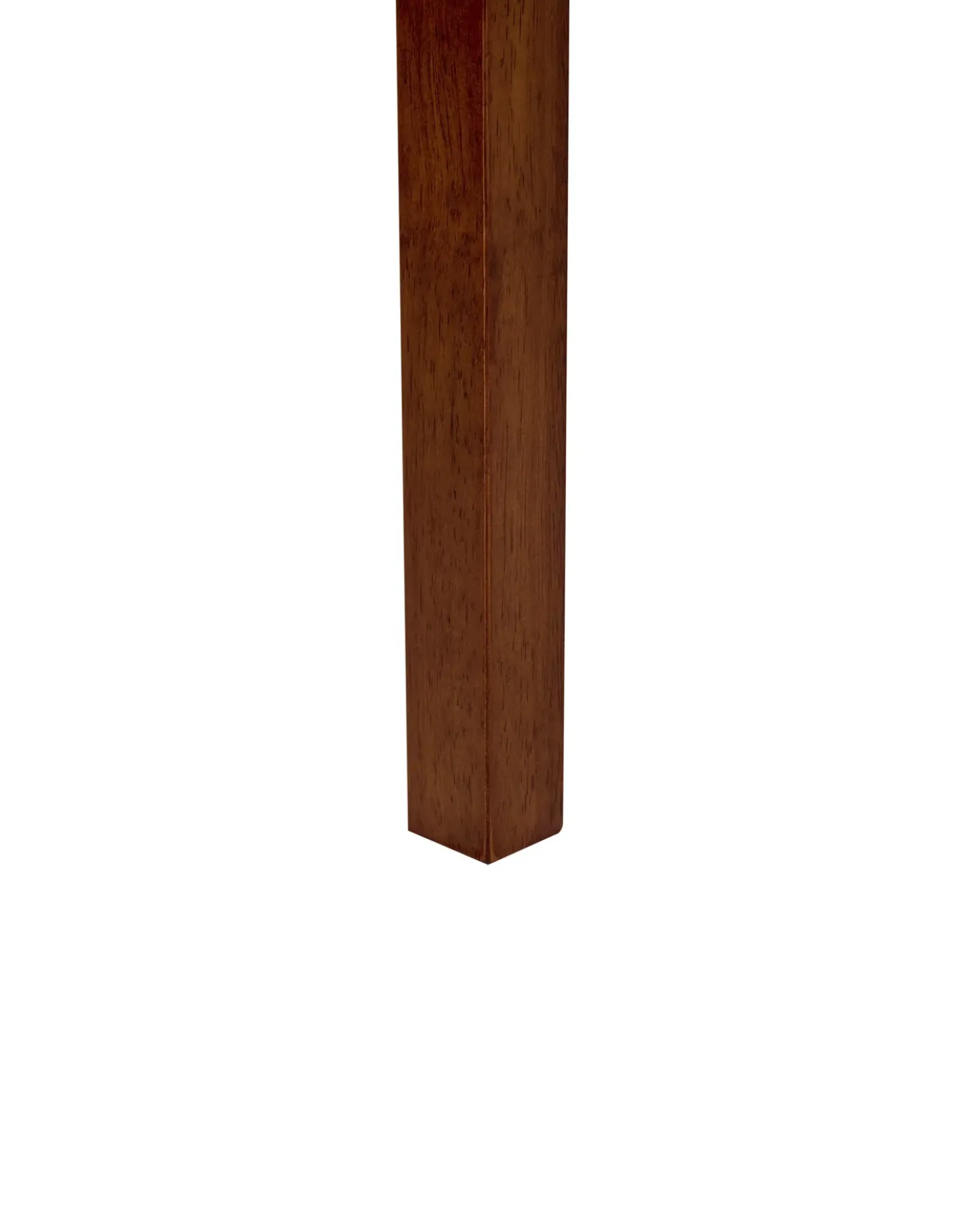 Set di 2 sedie da pranzo ORTLEY Legno Marrone scuro/Verde